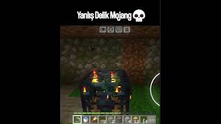 Yanlış Delik Mojang