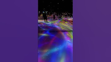 Team Lab Planets Tokyo