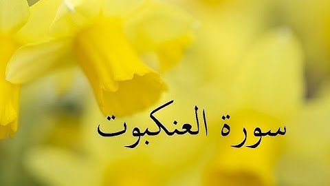 سورة العنكبوت 29