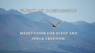 Flight of compassion meditation feel deep sleep and your inner freedom Guided meditation for sleep