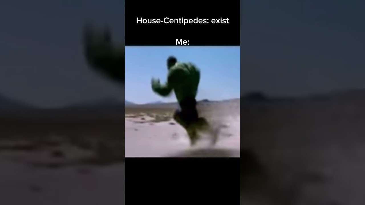 Spiderbait - Black Betty