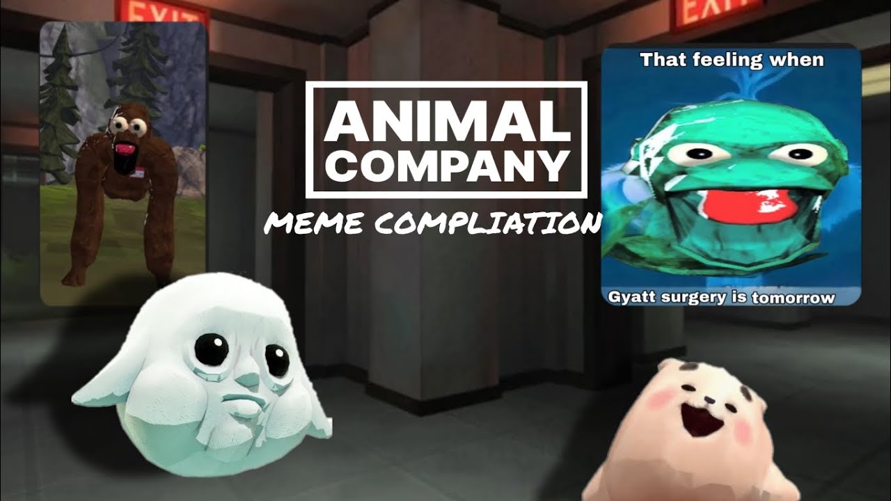 Animal company Top MEME/SKITS YOU HAVE TO WATCH 