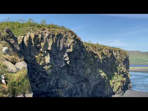 Fliegende Papageitaucher bei Kap Dyrholaey