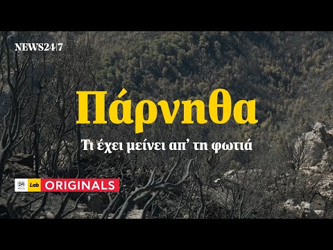 Τι έχει μείνει απ' τη φωτιά στην Πάρνηθα | NEWS 24/7