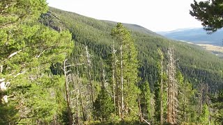 A Drive in the Colorado Rocky Mountains: Part 4, Rocky Mountain National Park by youtuuba 711 views 6 months ago 1 hour, 12 minutes