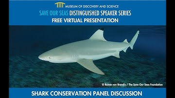 Save Our Seas Distinguished Speaker Series: Shark Conservation Panel Discussion