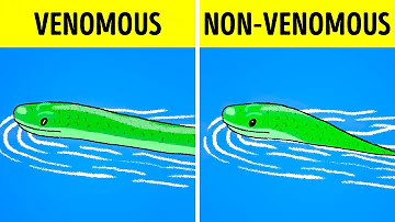 How can you tell the difference between a poisonous and nonpoisonous snake?