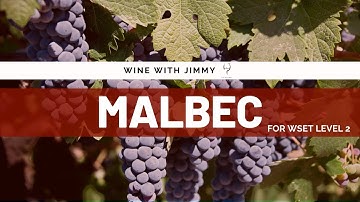 Grape Varieties - Malbec Intermediate Version for WSET Level 2 Wine