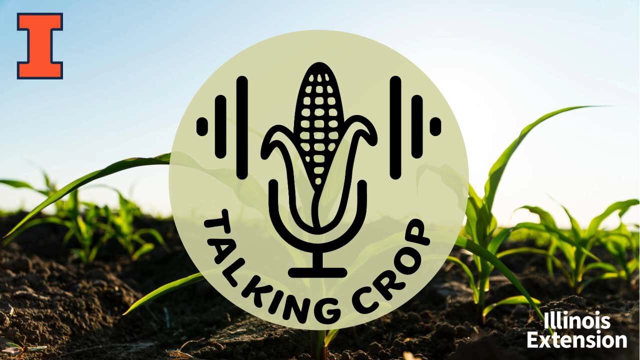 How to extend the grazing season