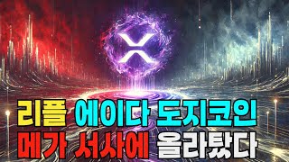 XRP ADA DOGE 어디까지 가능할까?!