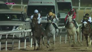 Vidéo de la course PMU RACE 5
