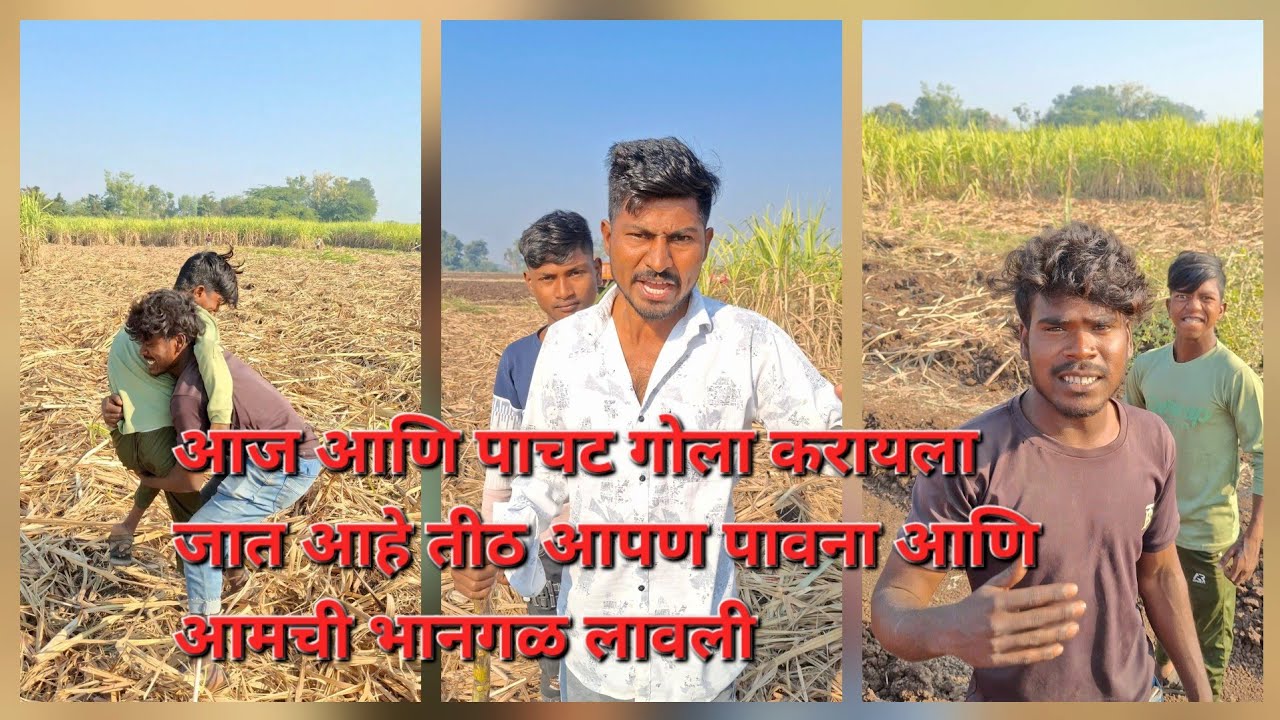 आज जात आहे पाचट गोळा करायला