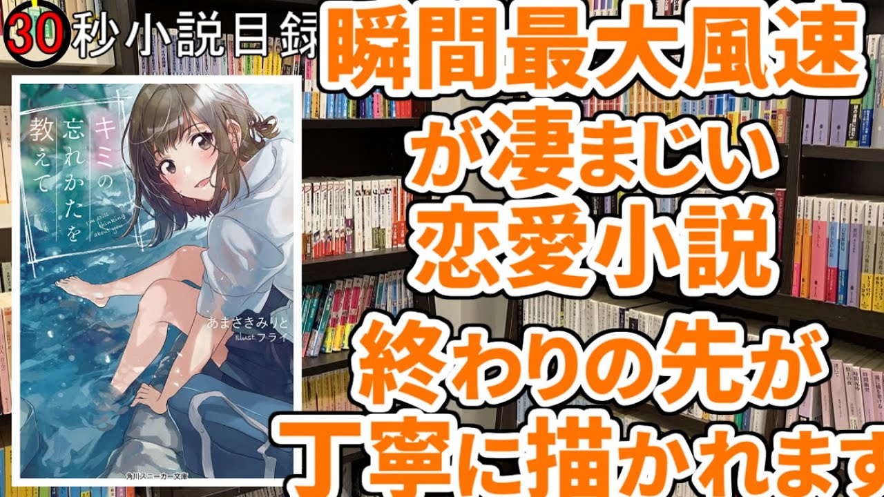 30秒小説目録 キミの忘れかたを教えて ラノベ Youtube 30秒小説目録 キミの忘れかたを教えて ラノベ Youtube