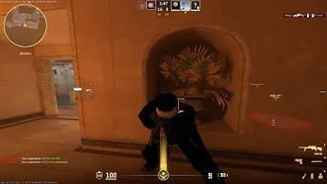 Plaguecheat.cc ft hvh hightlights