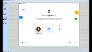 iServer RAT ( HVnc - Chrome )