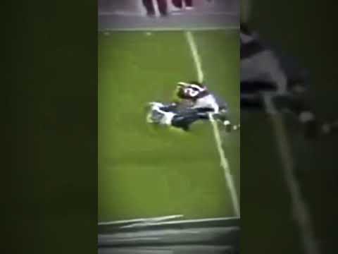 Sean Taylor Hits