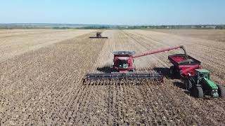 Agromino is a leading Agribusiness manager.
