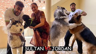 Surprising My Mom with Sultaan