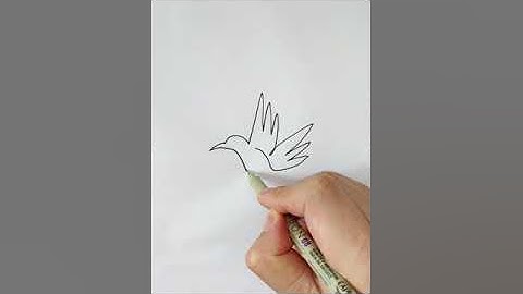 One line drawing Hummingbird