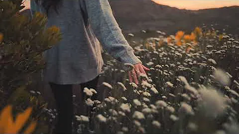 Girl walking On a Garden full Of Flowers | Mountains Vlogs | Nature Shots20 | Copyright FREE