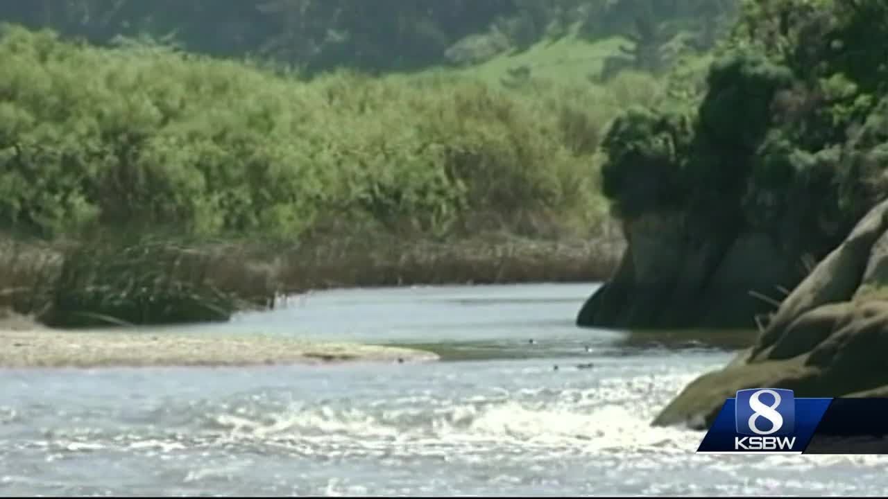 california roll Cal-Am Desal Plant A Go After Unanimous CPUC Approval