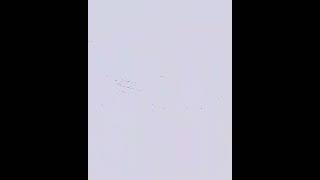 Truk Umplung Rasa Canter