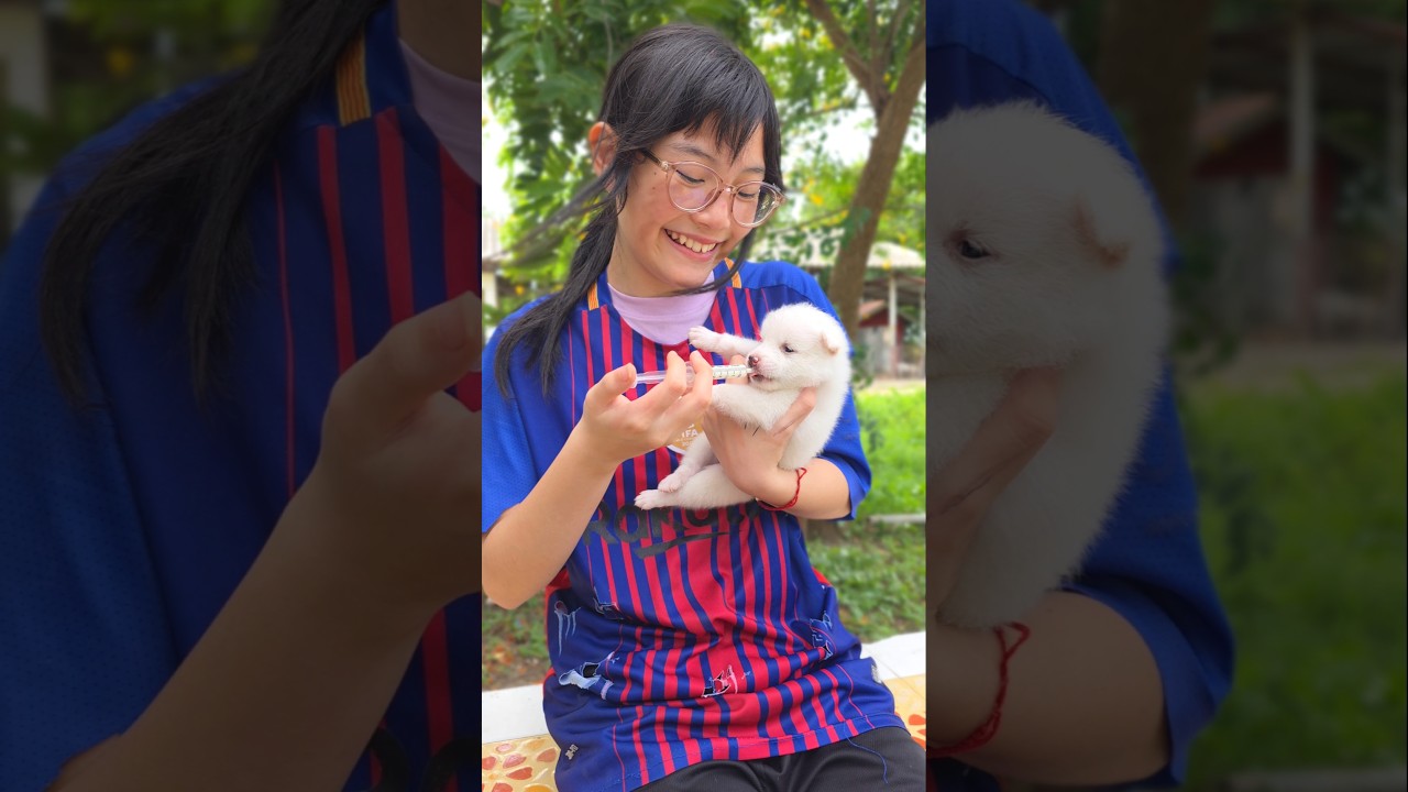 Poor Kind Girl🤩 and Lost Puppy  | J Jai Pan เจไจ๋แปน