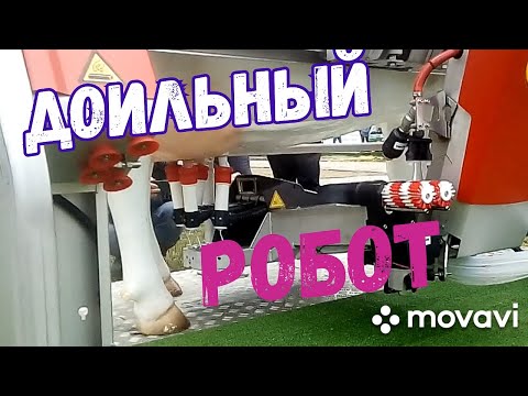 Обзор. ДОИЛЬНЫЙ РОБОТ