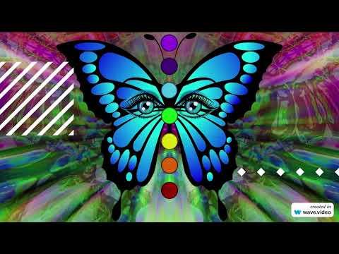 Unleashing the Power of the Butterfly Effect: How Small Actions Shape Our World
