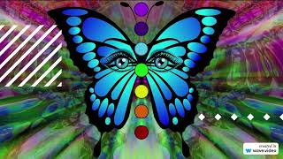 Unleashing the Power of the Butterfly Effect: How Small Actions Shape Our World