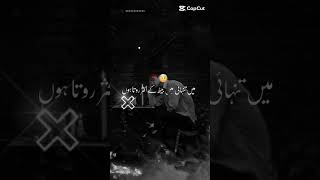 Dil Ka Dard beautiful poetry #viralvideo #youtubeshorts