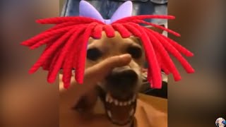 Chipi chipi chapa chapa caramelo. mágico mi dubi.  #chipichipi #chipichipichapachapa @Sosophiabloxgames screenshot 5