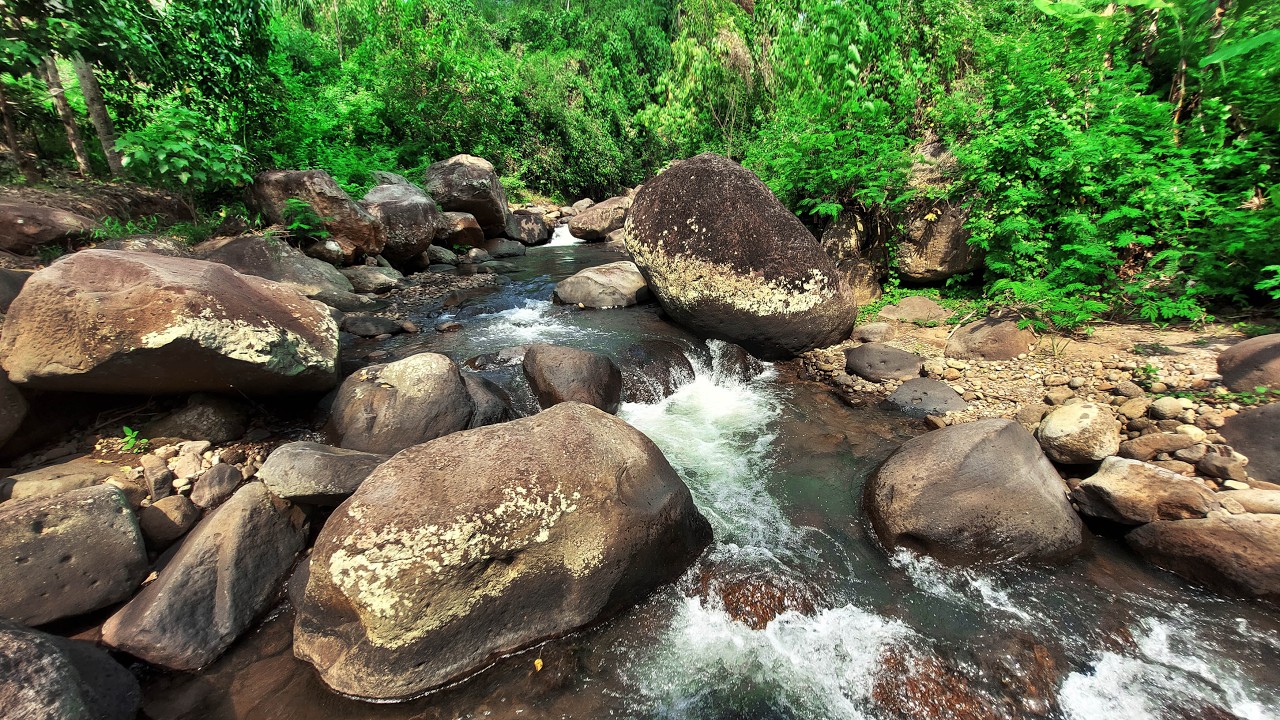 Calming Forest River Sounds for Stress Relief and Deep Sleep - Relax ...