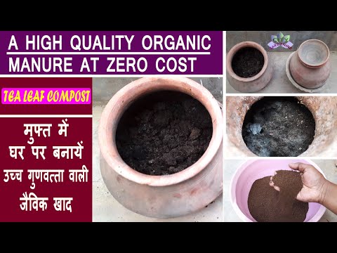 Tea Leaf Compost, a high quality organic fertilizer at zero cost. How to make and use effectively?