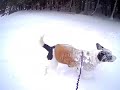 Snow Play