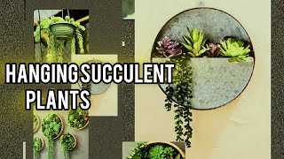Hanging succulents plants|diy hanging succulents plant succulent plant ideas