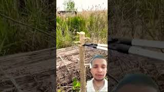 former yantra #bamboo #farming #automobile #woodworking
