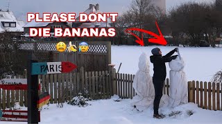 Saving My Husbands Bananas Winter Edition My Diary Pinay German Vlog