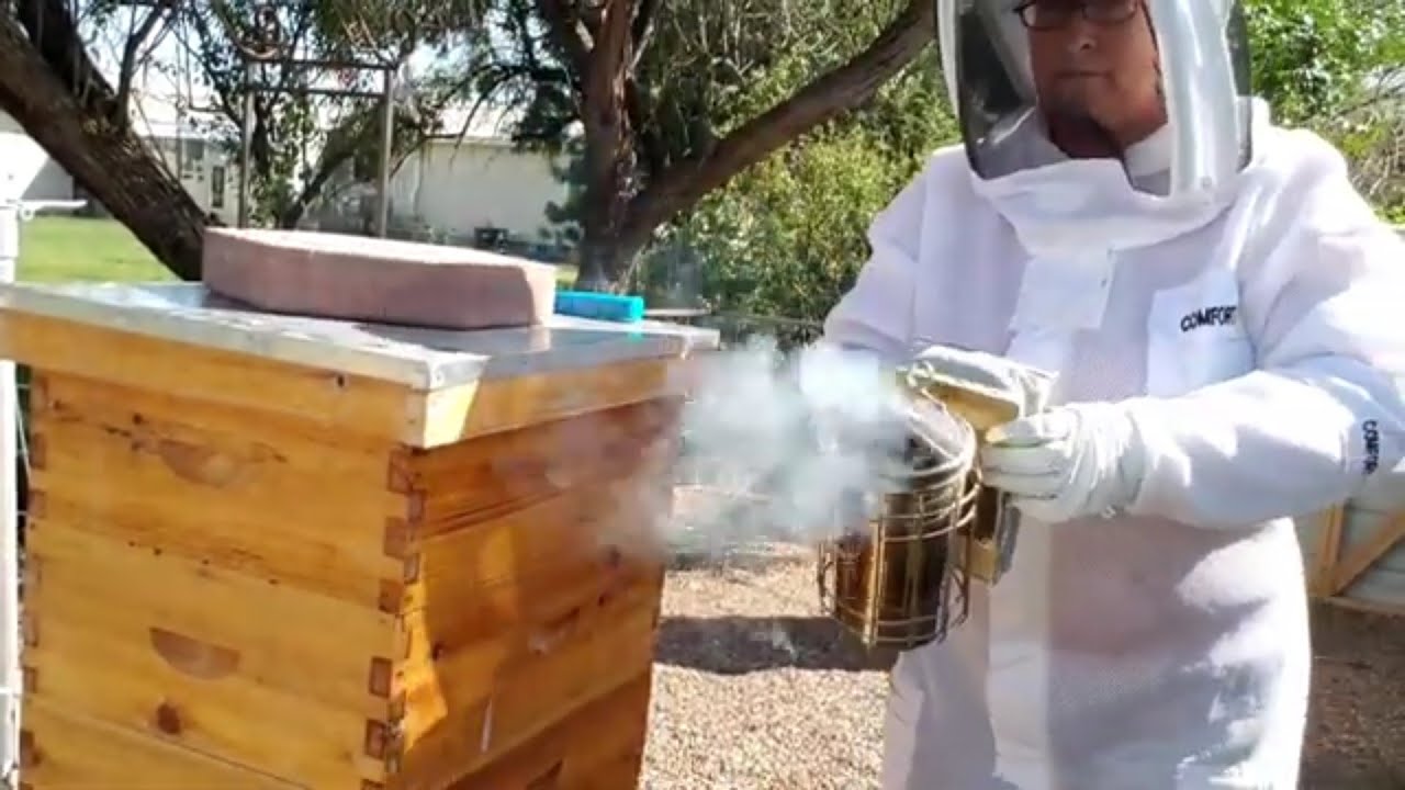 Fixing robbing screens, adding an escape board.