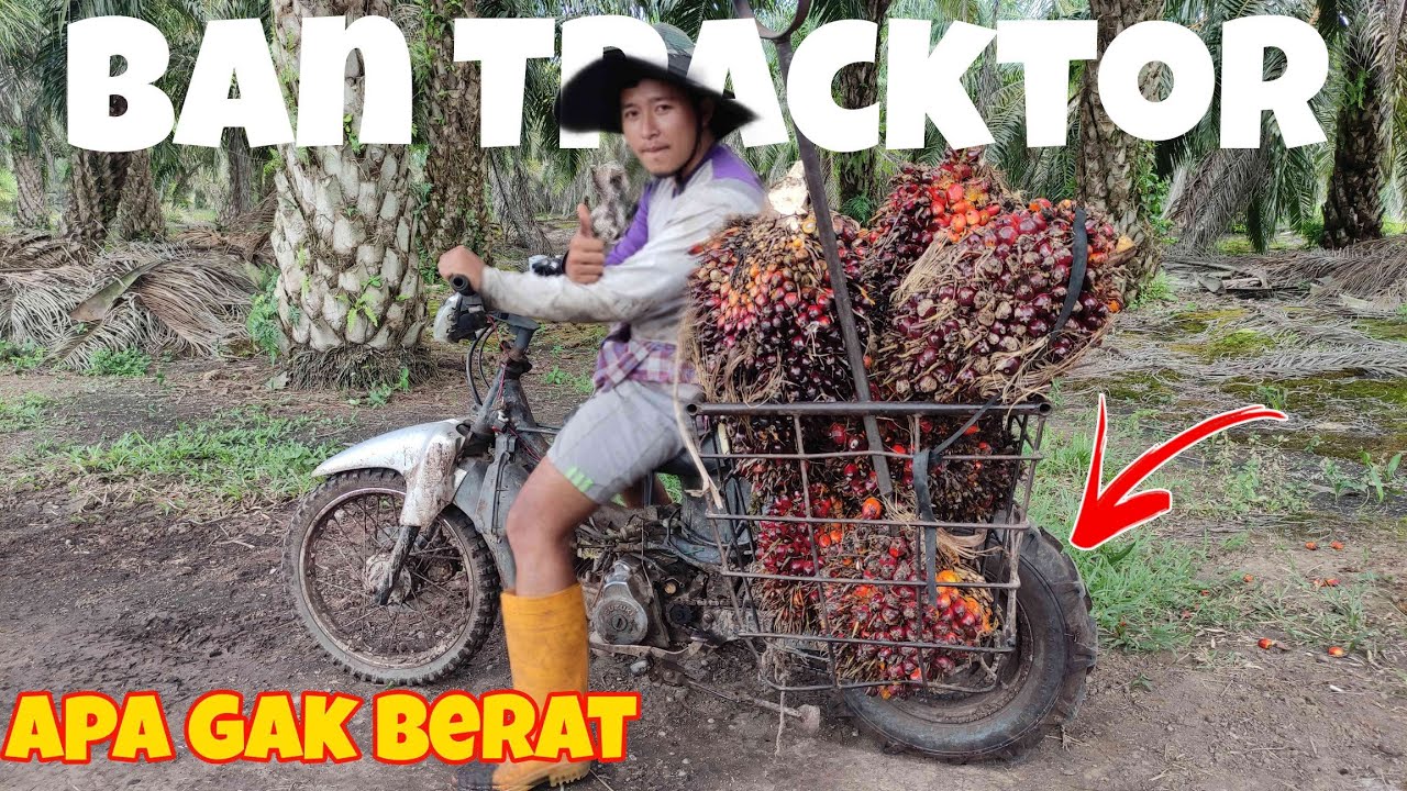 MOTOR LANGSIR BAN TRACKTOR❗ REVIEW DAN TEST DRIVE LANGSIR , LANCAR ANTI TERBENAM