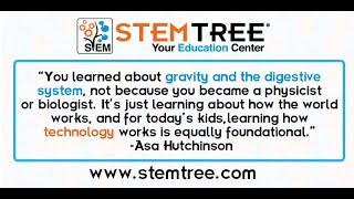 Fun Science Activity