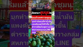 remix dj edm  sound news allahallah automobile