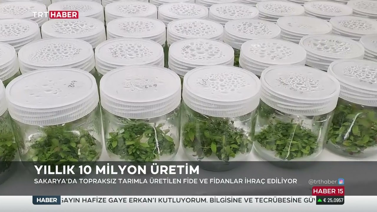 Satso dan orkide ihracadı auf YouTube ansehen Satso dan orkide ihracadı auf YouTube ansehen
