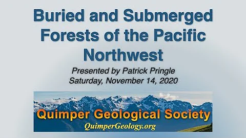 Buried and Submerged Forests of the Pacific Northw...