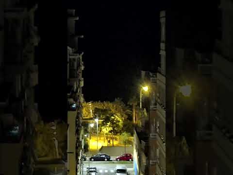 Palma's Maritime Spectacle! 🌍 EPIC Timelapse: Cruise Ships, Ferries & More! 🚢🌊