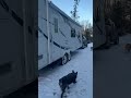 We have the 3 #traveltrailer #homesweethome ready to get going on the #homestead #offgridliving