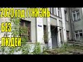 2020 ГОД //ЖИЗНЬ БЕЗ ЛЮДЕЙ //ЗАБРОШКИ В Москве / Раздаю своих КОТЯТ! Готовлю//Что я ем