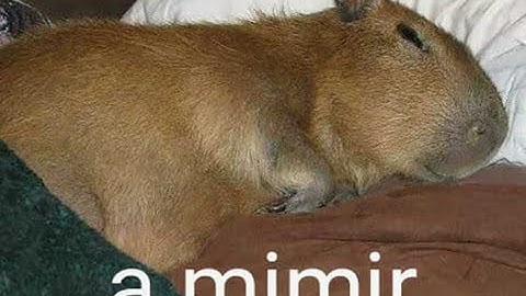 BlueWolf: At Night intro