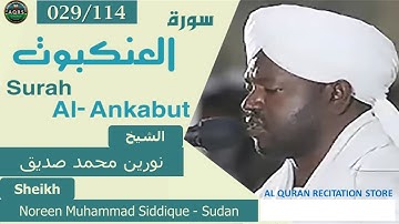 029/114. Surah Al-'Ankabut | سورة العنكبوت | Noreen Muhammad Siddique - Sudan