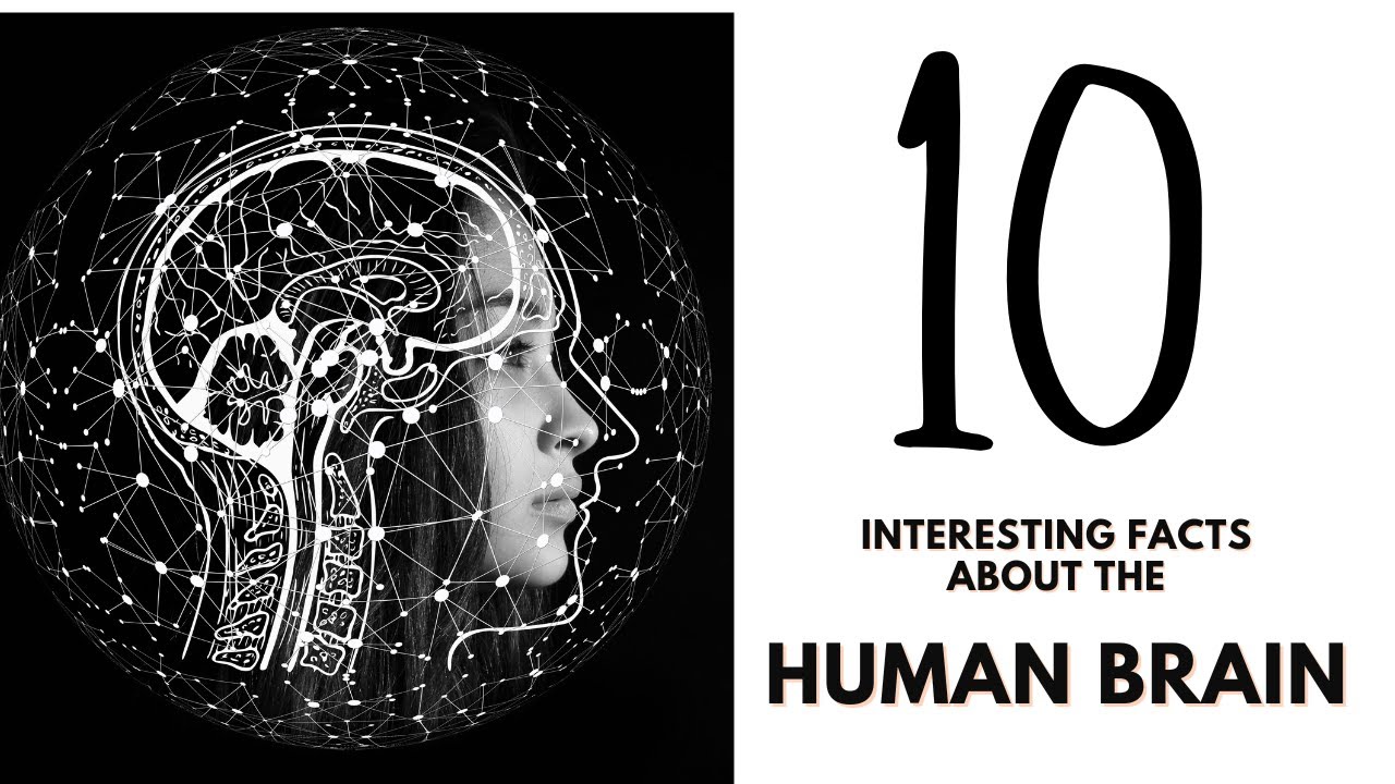 10 Interesting Facts about the Human Brain - YouTube